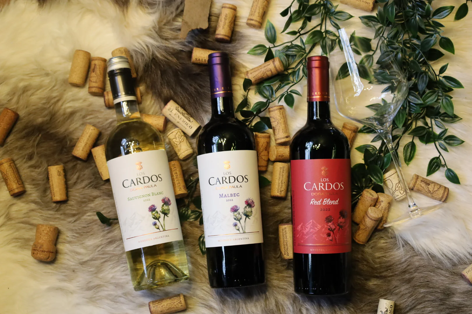 Vins Cardos
